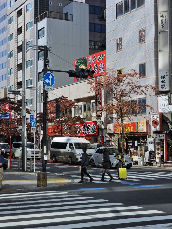 Cerca de senso ji minato city
